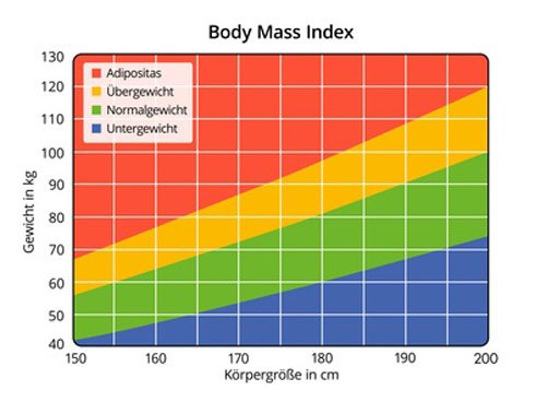 Body Maß Index