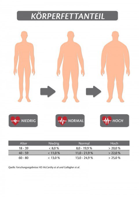 Körperfett Männer